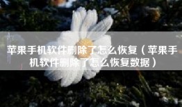 苹果手机软件删除了怎么恢复（苹果手机软件删除了怎么恢复数据）