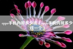 oppo手机内屏多少钱（oppo手机内屏多少钱一个）