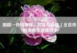 围棋—传统体育、游艺与杂技（北京市国家级非遗项目）