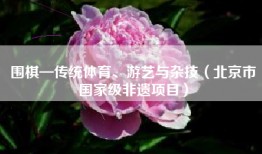 围棋—传统体育、游艺与杂技（北京市国家级非遗项目）
