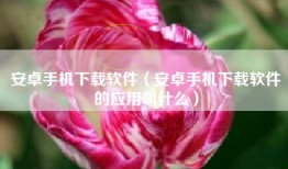 安卓手机下载软件（安卓手机下载软件的应用叫什么）