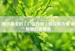 国内最全的「广告投放」供应商合集 你想要的这都有