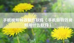 手机视频特效制作软件（手机做特效视频用什么软件）