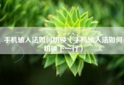 手机输入法如何切换（手机输入法如何切换下一行）