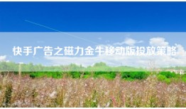 快手广告之磁力金牛移动版投放策略