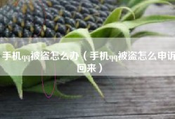 手机qq被盗怎么办（手机qq被盗怎么申诉回来）