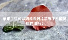 苹果手机可以测体温吗（苹果手机能测量体温吗）