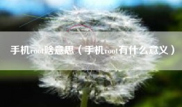 手机root啥意思（手机root有什么意义）