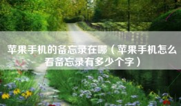 苹果手机的备忘录在哪（苹果手机怎么看备忘录有多少个字）