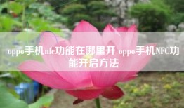 oppo手机nfc功能在哪里开 oppo手机NFC功能开启方法