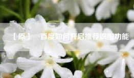 【原】​百度如何开启推荐识图功能
