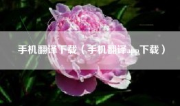 手机翻译下载（手机翻译app下载）