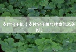 支付宝手机（支付宝手机号搜索怎么关闭）