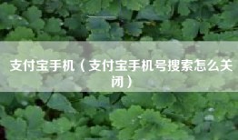 支付宝手机（支付宝手机号搜索怎么关闭）