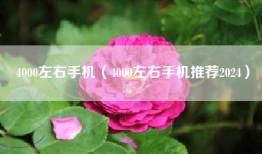 4000左右手机（4000左右手机推荐2024）