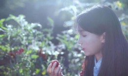 三分钟理论快讲第四季·青春版①丨李子柒：中秋，遇见美好