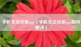 手机无法安装app（手机无法安装app如何解决）