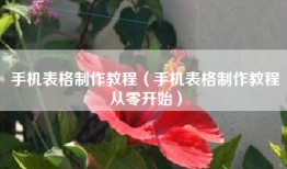 手机表格制作教程（手机表格制作教程从零开始）