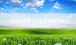 手机加字体（手机怎么加字体）