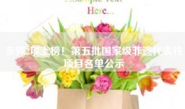 东莞2项上榜！第五批国家级非遗代表性项目名单公示