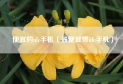 便宜的nfc手机（最便宜带nfc手机）