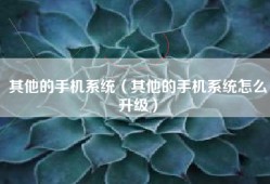 其他的手机系统（其他的手机系统怎么升级）