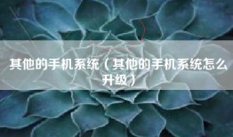 其他的手机系统（其他的手机系统怎么升级）