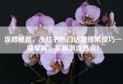 攻略秘籍，小红书热门话题搜索技巧一键掌握，紧跟潮流热点！