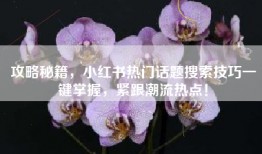 攻略秘籍，小红书热门话题搜索技巧一键掌握，紧跟潮流热点！