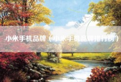 小米手机品牌（小米手机品牌排行榜）
