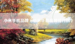 小米手机品牌（小米手机品牌排行榜）