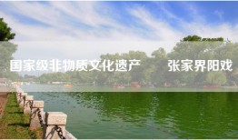 国家级非物质文化遗产――张家界阳戏