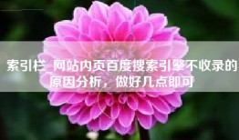 索引栏_网站内页百度搜索引擎不收录的原因分析，做好几点即可
