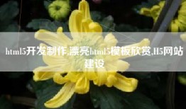 html5开发制作,漂亮html5模板欣赏,H5网站建设