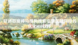 旺道百度神马搜狗搜索引擎关键词排名优化SEO软件