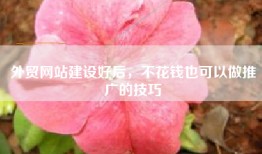 外贸网站建设好后，不花钱也可以做推广的技巧