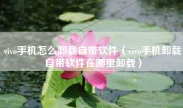 vivo手机怎么卸载自带软件（vivo手机卸载自带软件在哪里卸载）