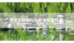 数字化转型与业务流程重构.pptx