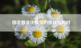 国企数字化转型的挑战与应对