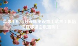 苹果手机信任在哪里设置（苹果手机信任在那里面设置啊）