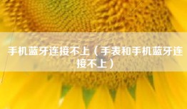 手机蓝牙连接不上（手表和手机蓝牙连接不上）