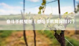 奋斗手机壁纸（奋斗手机屏保图片）