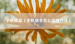 手机烧菜（手机烧手怎么处理方法）