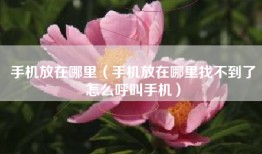 手机放在哪里（手机放在哪里找不到了怎么呼叫手机）