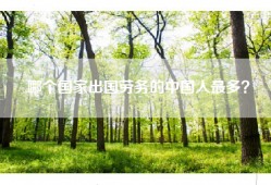 哪个国家出国劳务的中国人最多？
