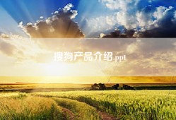 搜狗产品介绍.ppt