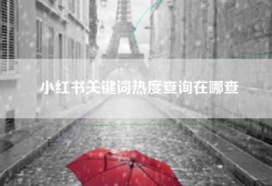 小红书关键词热度查询在哪查