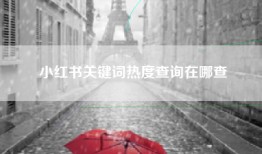 小红书关键词热度查询在哪查