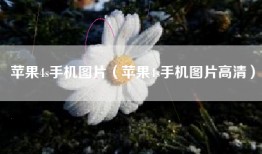 苹果4s手机图片（苹果4s手机图片高清）