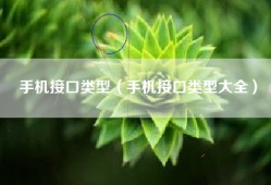 手机接口类型（手机接口类型大全）